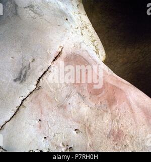 CUEVA DE EKAIN. GALERIA DE ZALDEI O DE LOS CABALLOS: VARIAS PINTURAS DE CABALLOS detalles y. DEVA, GUIPUZCOA, PAIS VASCO, ESPAÑA. Foto Stock