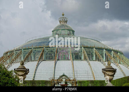 N/A. N/A 402 Winter Garden - Castello Reale di Laeken - Bruxelles, Belgio - DSC07079 Foto Stock