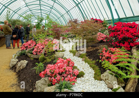 Inglese: vista interna, Laeken Serre Reali - Castello Reale di Laeken - Bruxelles, Belgio. 17 aprile 2016, 07:26:21 204 vista interna - Reale di Laeken Serre - Castello Reale di Laeken - Bruxelles, Belgio - DSC07266 Foto Stock