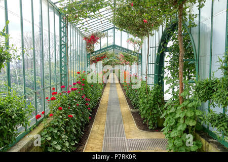 Inglese: vista interna, Laeken Serre Reali - Castello Reale di Laeken - Bruxelles, Belgio. 17 aprile 2016, 07:35:28 204 vista interna - Reale di Laeken Serre - Castello Reale di Laeken - Bruxelles, Belgio - DSC07296 Foto Stock
