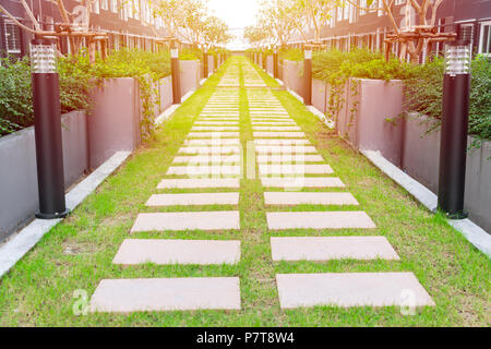 Il sentiero percorso a piedi andare avanti nel giardino con lampada di percorso Foto Stock