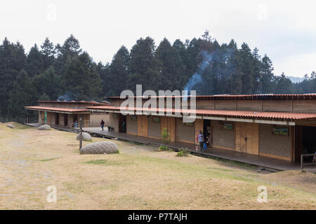 Farfalla monarca santuario vicino a Angangueo Foto Stock