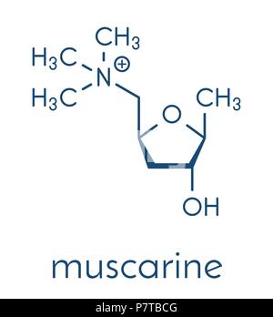 Muscarina fungo molecola di tossina. Un agonista dei recettori muscarinici recettori di acetilcolina. Formula di scheletro. Illustrazione Vettoriale