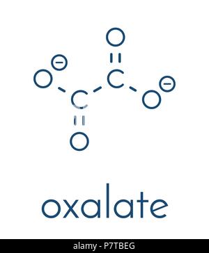 Acido ossalico molecola. Formula di scheletro Immagine e Vettoriale - Alamy