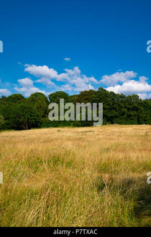 Londra, Inghilterra. Il 7 luglio 2018. L'ondata di caldo ha reso l'erba su Harrow-su-il-Hill tinder asciutto. La presente ondata di caldo è impostata per continuare. ©Tim anello/Alamy Live News Foto Stock