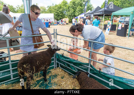 Cheshire, Regno Unito. Il 7 luglio 2018. hanno tenuto la loro undicesima fete sul campo eventi dove centinaia di persone braved la canicola e si è divertita Credito: John Hopkins/Alamy Live News Foto Stock