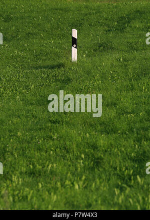 Germania, Schongau. 7 Luglio, 2018. Un delineatore stradale può essere visto nel mezzo di un campo verde. Credito: Karl-Josef Hildenbrand/dpa/Alamy Live News Foto Stock