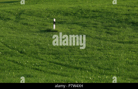 Germania, Schongau. 7 Luglio, 2018. Un delineatore stradale può essere visto nel mezzo di un campo verde. Credito: Karl-Josef Hildenbrand/dpa/Alamy Live News Foto Stock