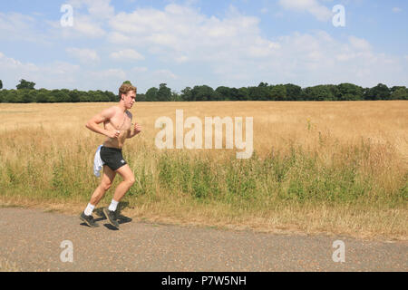 Londra 8 luglio 2018. La gente a fare jogging nel parco di Richmond su un altro caldo rovente giornata di sole come la prolungata ondata di caldo e di temperature elevate non mostrano segni di abatingCredit: amer ghazzal/Alamy Live News Foto Stock