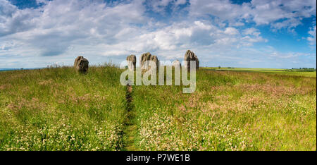 Estate a Duddo pietre, un piccolo cerchio di pietra vicino alla frontiera scozzese in Northumberland Foto Stock