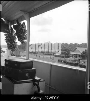 Belgisch-Kongo, Fluss Kongo: Landschaft; Blick vom Dampfer mit Bananen und Koffern im Vordergrund auf das Festland bebaute. Dal maggio 1941 fino al Marzo 1942 66 CH-NB - Belgisch-Kongo, Fluss Kongo- Landschaft - Annemarie Schwarzenbach - SLA-Schwarzenbach-UN-5-25-255 Foto Stock