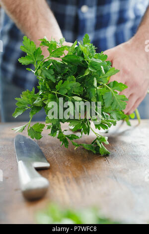 Maschio di mani fresche mazzetto di prezzemolo fresco, close-up Foto Stock