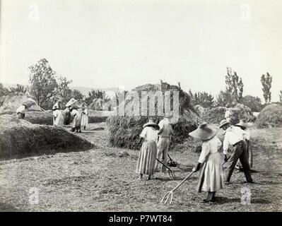 Inglese: gli agricoltori . circa 1880 89 Charles negre14 Foto Stock