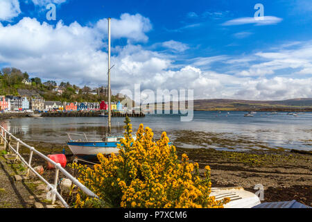 Colorati negozi, bar, ristoranti, alberghi e case linea il porto storico in Tobermory, Isle of Mull, Argyll and Bute, Scotland, Regno Unito Foto Stock