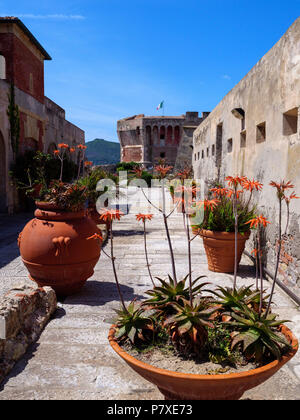 Torre della Linguella, Museo Civico Archeologico, fortezza, Portoferraio, Isola d'Elba, Regione Toscana, Provincia di Livorno, Italia, Europa Foto Stock