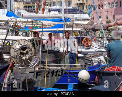 Porto Darsema, Portoferraio, Isola d'Elba, Regione Toscana, Provincia di Livorno, Italia, Europa Foto Stock