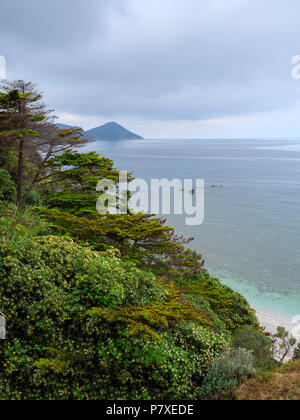 Costa vicino a Capo Bianco, Portoferraio, Isola d'Elba, Regione Toscana, Provincia di Livorno, Italia, Europa Foto Stock