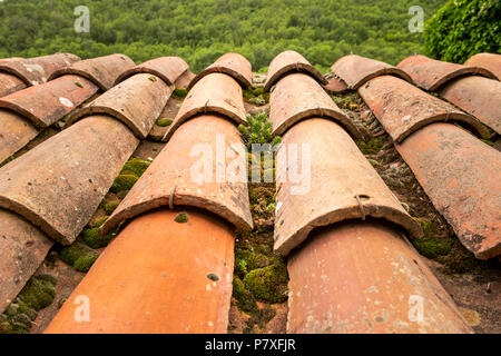 Red tegole di terracotta con muschio cresce nel gulleys su tetti nel villaggio di montagna di La Roca nei Pirenei, Spagna Foto Stock