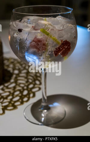 Il gin tonic in una ciotola di vetro con bacche di ginepro, limone e la buccia del lime. Foto Stock