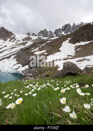 Piccolo st anne lago nel parco naturale du Queyras nei pressi di ceillac nelle Alpi francesi Foto Stock