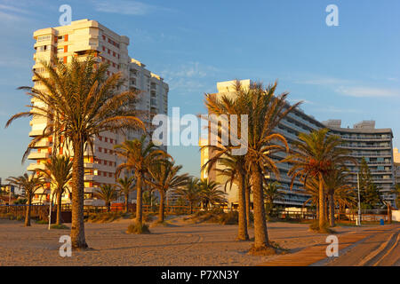 Edifici di appartamenti con una vista su un Palm grove e ampia spiaggia di sabbia a Gandia, Spagna. Sole di mattina evidenzia la figura le palme e la sabbia bianca. Foto Stock