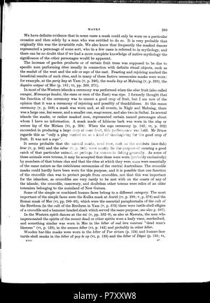 181 Haddon-Reports del Cambridge spedizione antropologica di Torres Straits-Vol 1 Etnografia generale-p389 Foto Stock