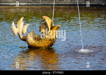 Peterhof, una decorativa dorare la figura di un delfino in una delle fontane del giardino superiore Foto Stock