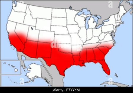 258 MAPPA DEGLI STATI UNITI D'AMERICA evidenziando il nastro Sun Foto Stock