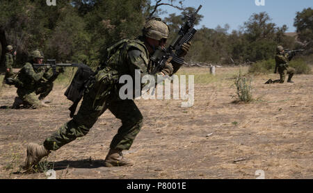 180706-O-N0842-3013 Marine Corps base Camp Pendleton, California (6 luglio 2018) i membri del canadese del secondo battaglione Royal 22e Régiment avanzare verso il contatto durante un'esercitazione a fuoco a gamma 208 Charlie durante la Biennale Rim del Pacifico (RIMPAC) esercizio a Camp Pendleton, 6 luglio. Venticinque nazioni, 46 navi, cinque sommergibili, circa 200 aerei, e 25.000 personale partecipano RIMPAC dal 27 giugno al 2 agosto in e intorno alle Isole Hawaii e la California del Sud. Il più grande del mondo marittimo internazionale esercitazione RIMPAC offre una singolare opportunità di formazione mentre foster Foto Stock