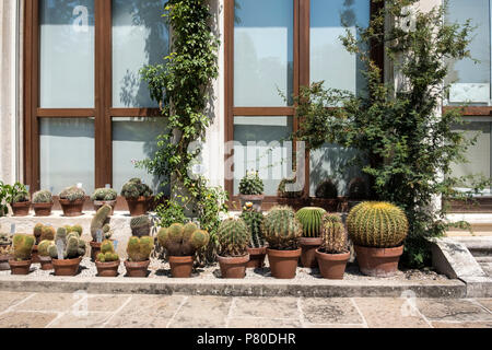 Orto botanico di Padova (Giardino botanico di Padova) Foto Stock