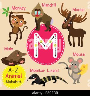 Carino lo zoo per bambini alfabeto M lettera tracing di animale divertente cartone animato per bambini imparare il vocabolario di inglese Illustrazione Vettoriale