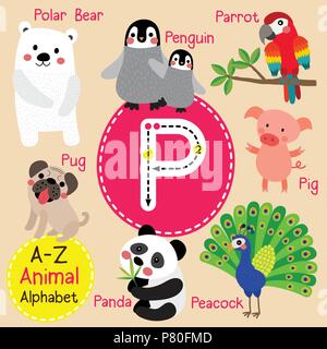 Carino lo zoo per bambini alfabeto lettera P tracing di animale divertente cartone animato per bambini imparare il vocabolario di inglese Illustrazione Vettoriale