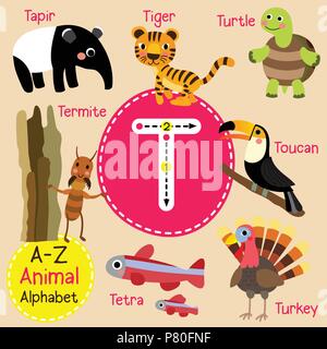 Carino lo zoo per bambini alfabeto T lettera tracing di animale divertente cartone animato per bambini imparare il vocabolario di inglese Illustrazione Vettoriale