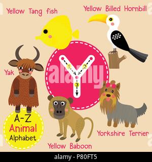 Carino lo zoo per bambini alfabeto lettera Y tracing di animale divertente cartone animato per bambini imparare il vocabolario di inglese Illustrazione Vettoriale