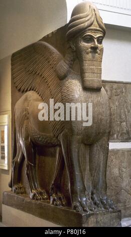 Lamassu dal palazzo di Sargon II Gli Assiri. 706 BC. Khorsabad Palace. British Museum. Londra. Regno Unito. Foto Stock