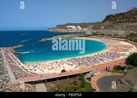Vista su holiday resort di Playa de Amadores sull isola delle Canarie di Gran Canaria, Spagna Foto Stock