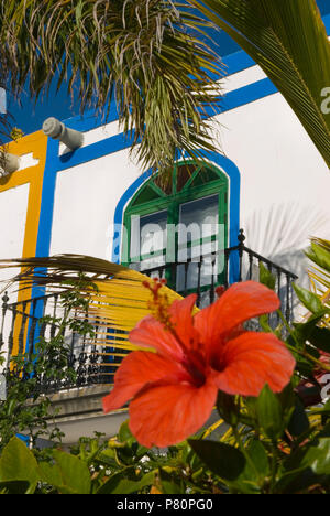 Appartamento fronte mare con Hibiscus in Puerto de Mogan Foto Stock