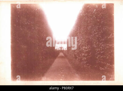 348 Skoki, Niamcevič. Скокі, Нямцэвіч (1901-14) (2) Foto Stock