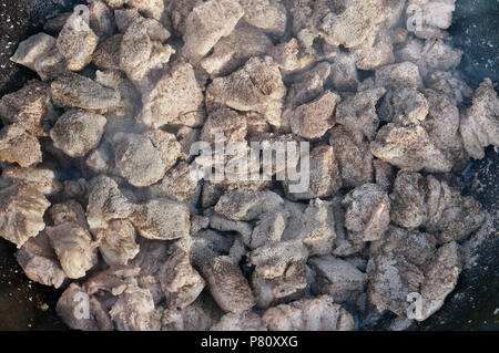 Pezzi di carne di maiale sono abbondantemente cosparso con sale e pepe. In pentola in ferro saranno fritte con cipolle al rogo. Outdoor vista dall'alto il cibo Foto Stock