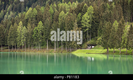 Forest in riva al lago - Santa Caterina, Lago di Auronzo di Cadore, Veneto, Italia Foto Stock