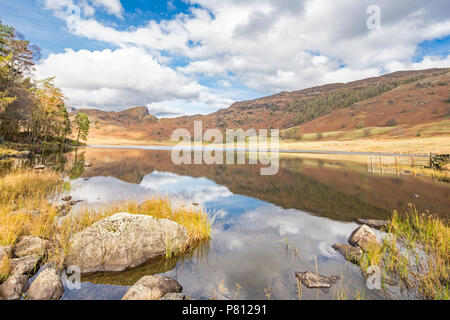 Inizio autunno a Blea Tarn, Little Langdale, Parco Nazionale del Distretto dei Laghi, Cumbria, England, Regno Unito Foto Stock