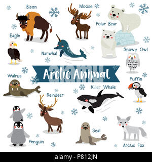 Animali artici cartoon su sfondo bianco con il nome di origine animale. Penguin, Orso Polare, di renna. Trichechi. L'alce. Civetta delle nevi. Arctic Fox. Eagle. Balena Killer. Foto Stock