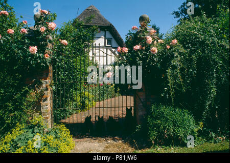 Rosa rose rampicanti sul muro con il ferro battuto garden gate e percorso di bianco con tetto di paglia di cottage di campagna Foto Stock