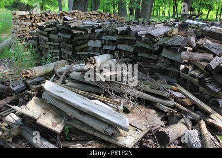 Molti pali di legna da ardere nel prato. Foto Stock