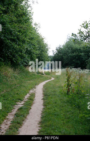 Percorso attraverso alberi lungo Bewl serbatoio acqua Foto Stock