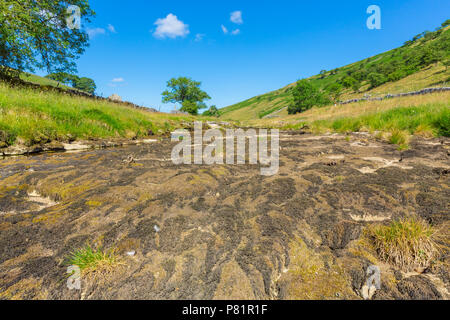 Il fiume Wharfe a Hubberholme, vicino a Kettlewell nelle Yorkshire Dales, Inghilterra, si è asciugato a causa della continua ondata di calore e della mancanza di pioggia. Orizzontale Foto Stock