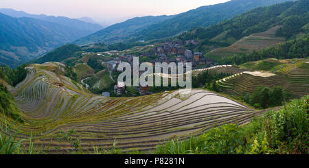 Riso Longji Terrazza - Dragon's Backbone - al tramonto Foto Stock