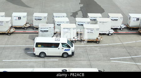 Servizi di movimentazione a terra, caricatore container e container/pallet. Il Dolly attende il servizio all'aeroporto di Narita. Foto Stock