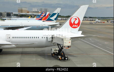 NARITA JAPAN, MAGGIO 2018 : processo di servizio e gestione pre-volo. Carico bagagli e catering all'Aeroporto Narita. Foto Stock