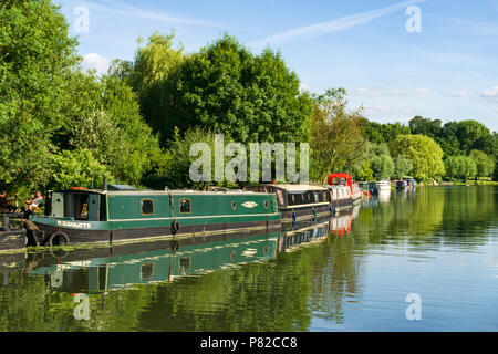 Diverse case narrowboat ormeggiato sul lato del fiume Cam su una soleggiata giornata estiva, Cambridge, Regno Unito Foto Stock